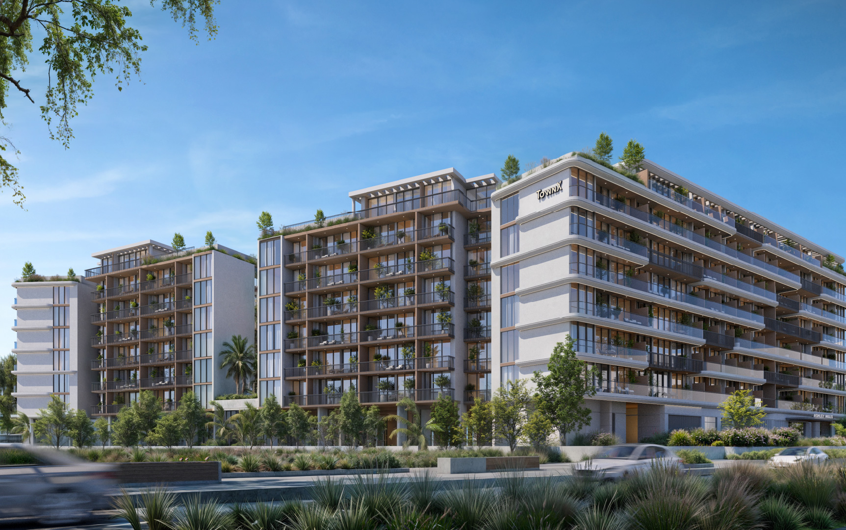 Ashley Hills – BLP_12