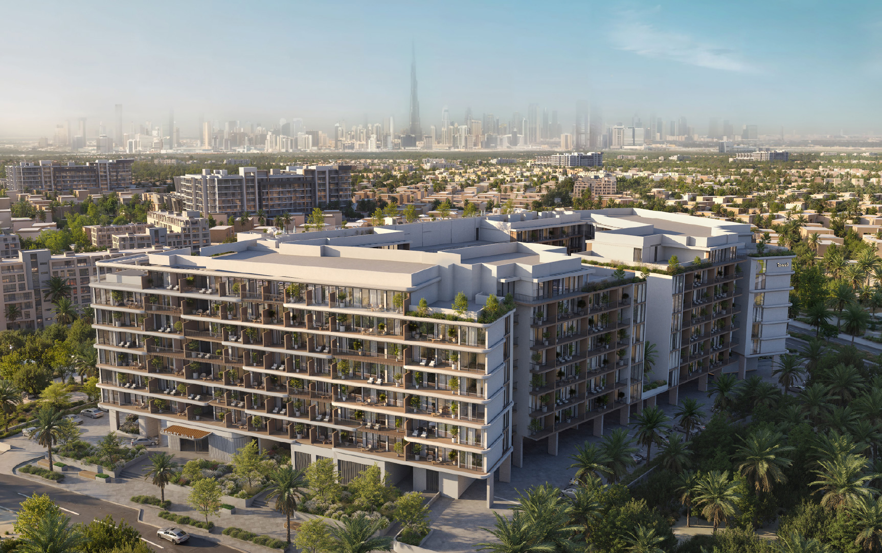 Ashley Hills – BLP_4