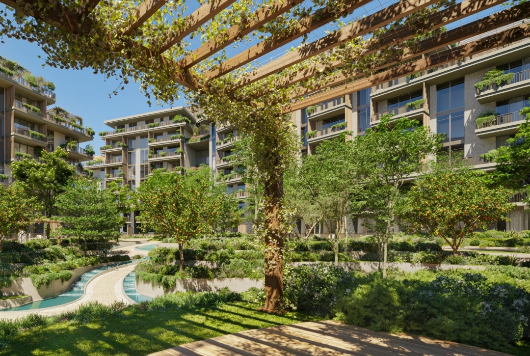 ARANCIA_Yards 2_BLP 8